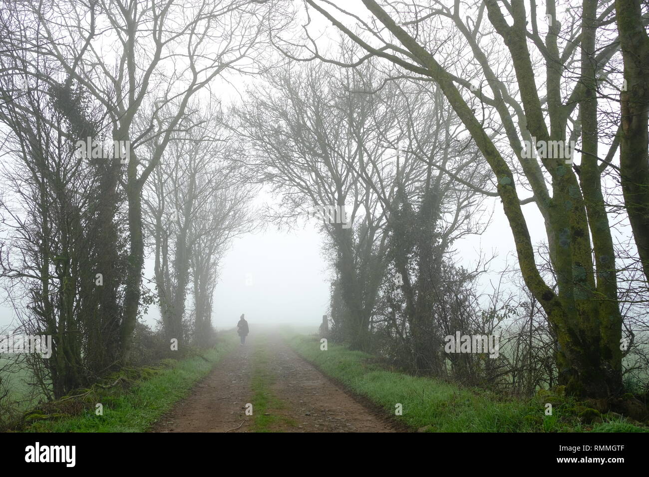 Femme marchant le long d'une route bordées dans la brume, Deux-Sèvres, Niort, France Banque D'Images