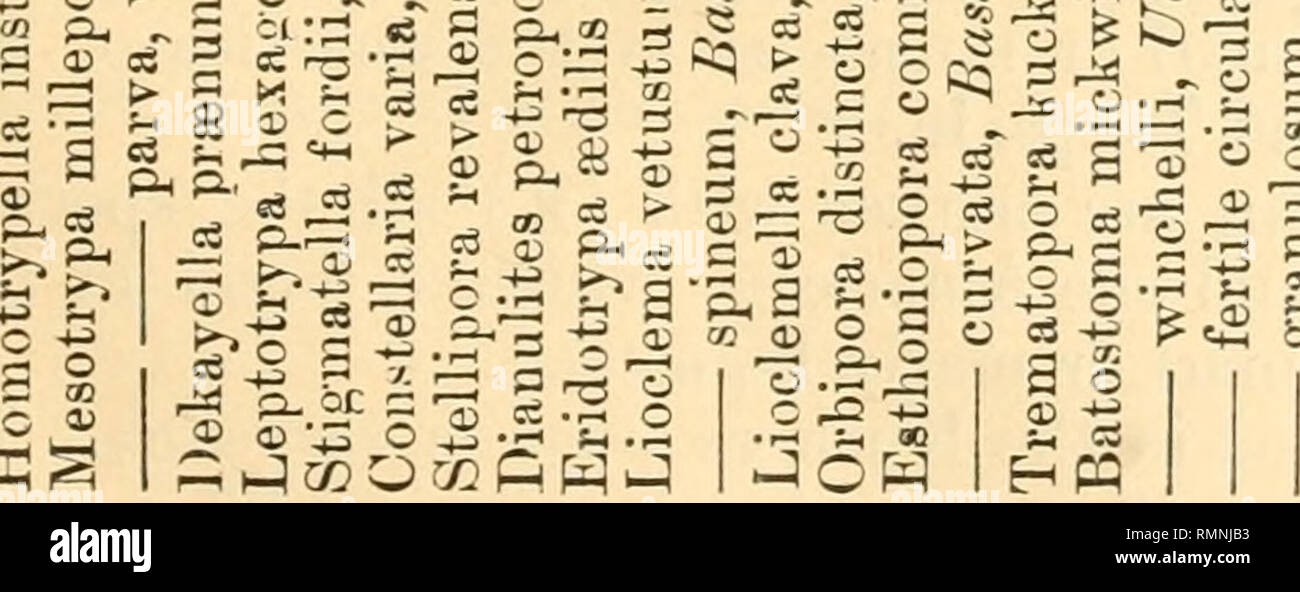L Annals And Magazine Of Natural History Zoologie Botanique Et De La Geologie L Histoire Naturelle Zoologie Botanique Geologie De L Kuclcers Esthonia Dans L Etape 333 X Xxxxxx Xx Xxx Xxxx L Annals And Magazine Of Natural History Zoologie Botanique Et De La Geologie L Histoire Naturelle Zoologie Botanique Geologie De L Kuclcers Esthonia Dans L Etape 333 X Xxxxxx Xx Xxx Xxxx