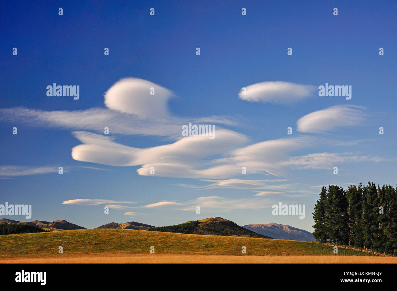 L'Altocumulus lenticularis nuages, près de Alpes du Sud, région de Canterbury, île du Sud, Nouvelle-Zélande Banque D'Images