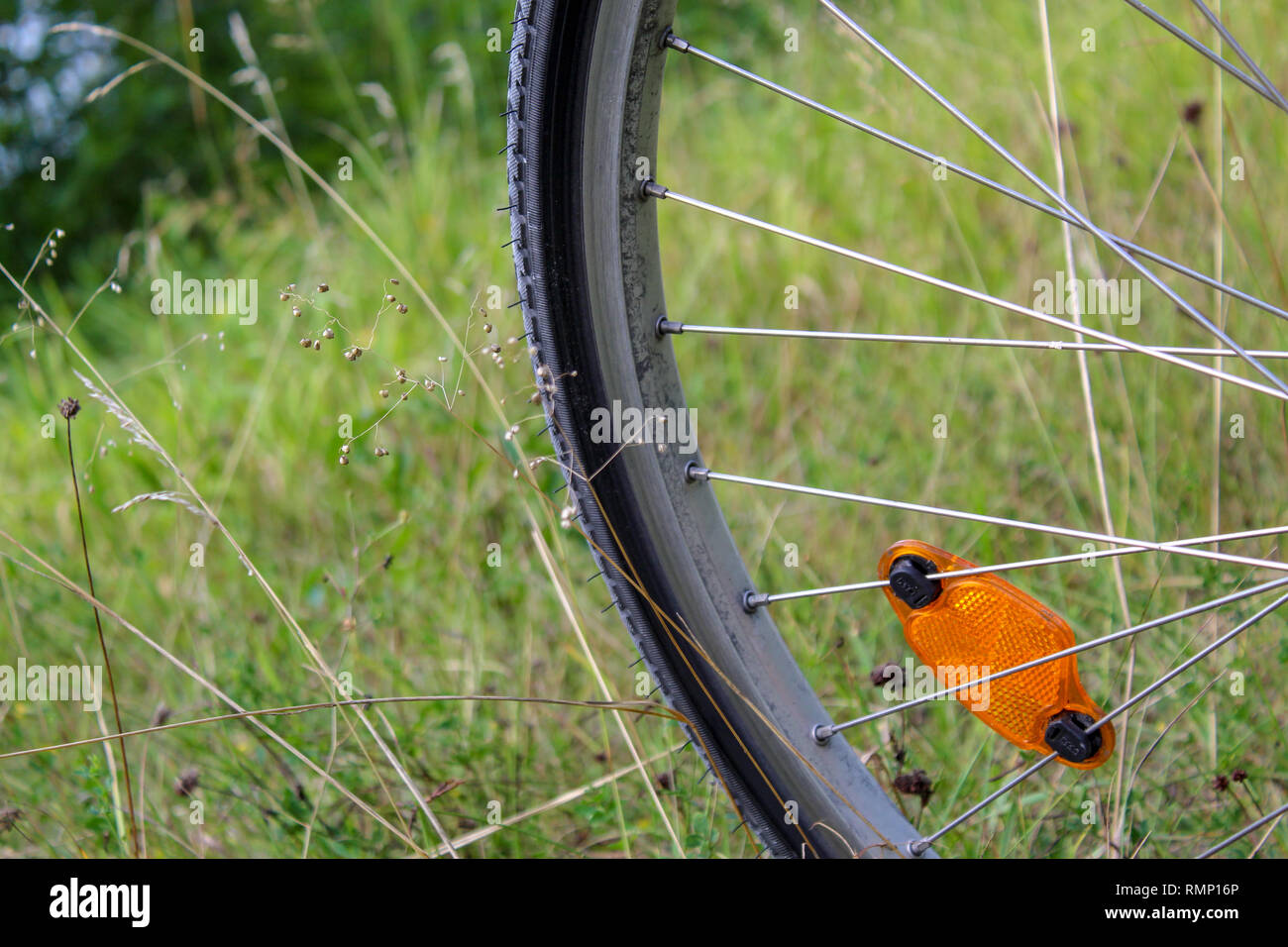 Libre de roue de vélo dans l'herbe Banque D'Images