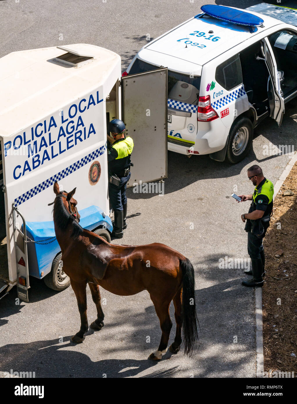 La police montée locale avec des chevaux et de l'encadré, le Gibralfaro, Malaga, Andalousie, Espagne Banque D'Images