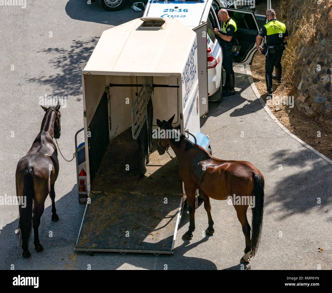 La police montée locale avec des chevaux et de l'encadré, le Gibralfaro, Malaga, Andalousie, Espagne Banque D'Images