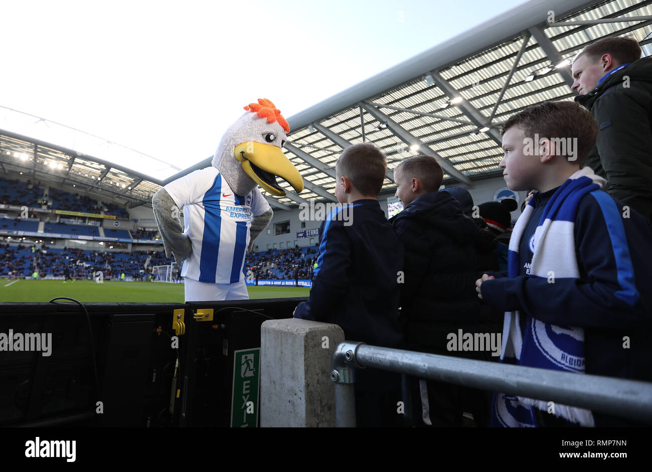 Brighton et Hove Albion Football Club mascot Gully divertit les jeunes fans avant le match. Banque D'Images