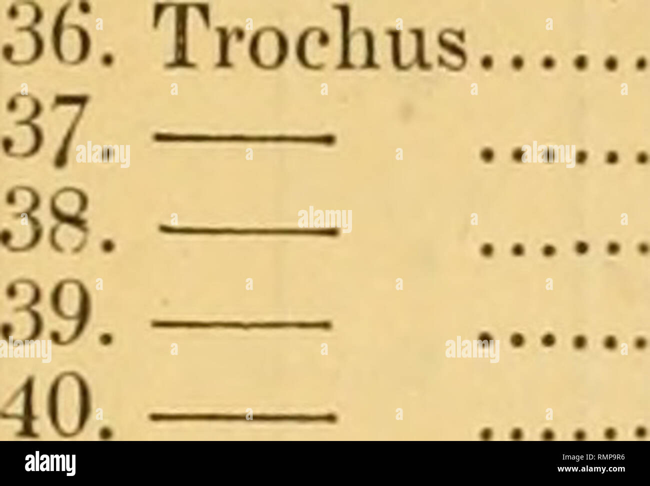 . L'Annals and magazine of natural history ; zoologie, botanique, et de la géologie. L'histoire naturelle, zoologie, botanique, géologie. Oolite inférieure dans le Gloucestershire. 411 Genre.. 41. 42. 44. Otoma alphabétisé-ria- 45. 48. Comme Trochotoma. 47. 49. 51. Natica 54. 55 Phasianella. bb*. 56. Acteonina .. 57. 58. - 59. Cylindrites 60. 61. 62. 63. 64. Chemnitzia 65. 98. Espèces, monilitectus .. bi-cingendus .. cingillato gemmatus alternans - serra' tus. Chapeau iufuntlibulifonnis funata autorité. Phil. Geol. New York. nouveau sp , Nouveau Nouveau Nouveau sp sp sp , laevigata ealix 99. 66. Ceritella,n.g, 99*. Chemnitzia 67. Ceritella ... 69. Banque D'Images