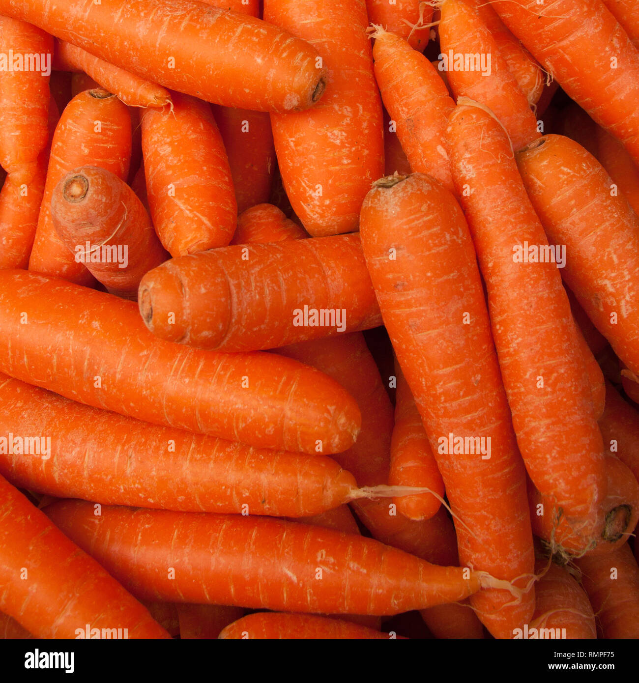 Des carottes sur le marché Banque D'Images