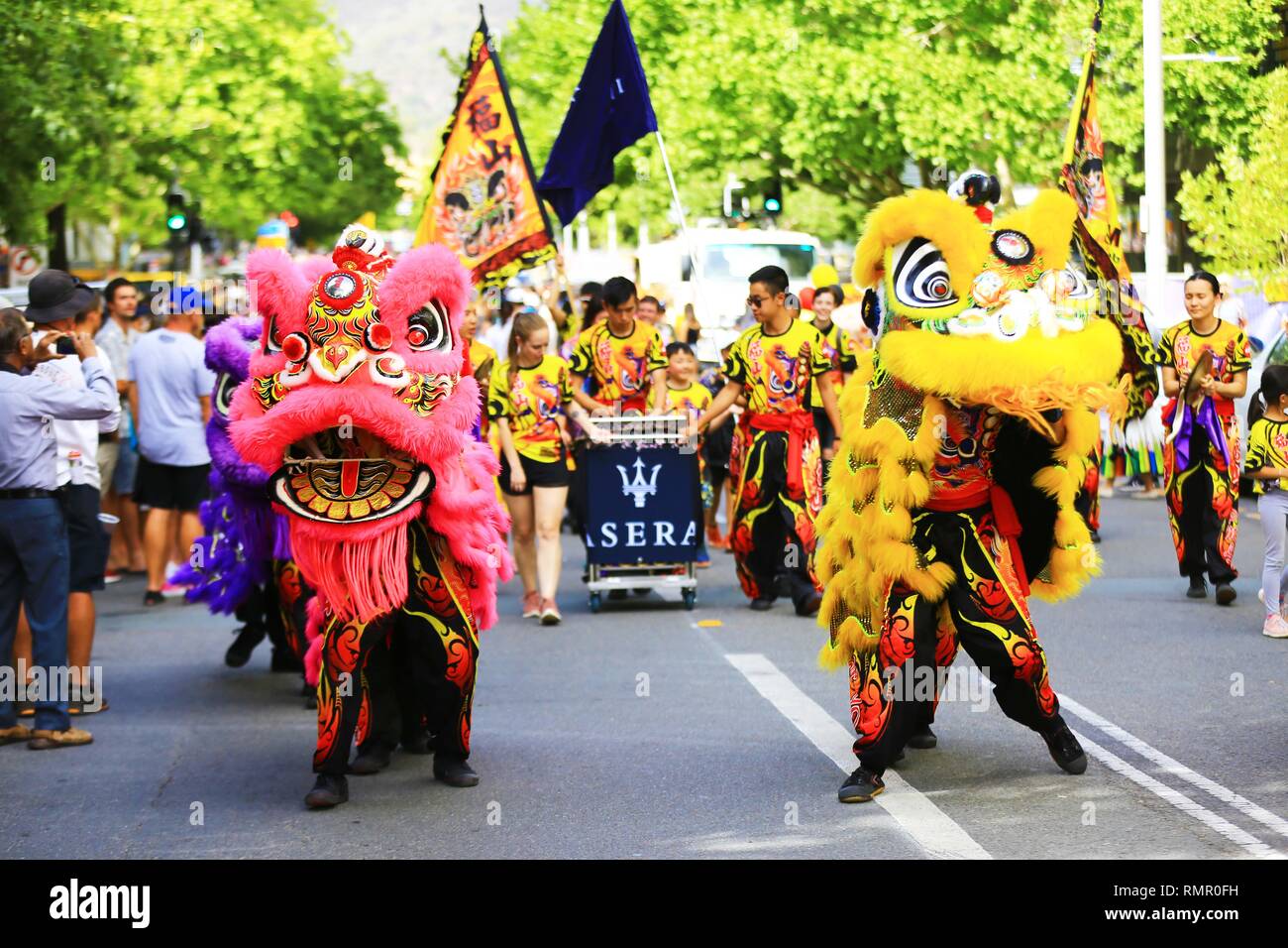 Canberra, Australie. 16 février 2019. Membres de la communauté chinoise effectuer la danse du lion lors d'un défilé de la 23e Festival multiculturel national à Canberra, Australie, le 16 février 2019. Le défilé du festival multiculturel national 2019 a commencé le samedi après-midi au centre de la capitale de l'Australie Canberra. Plus de 2 000 artistes d'une série de groupes culturels affiche leur culture diversifiée avec de beaux danseurs, fanfares et chars magnifiques, enveloppant les rues avec de magnifiques couleurs et de sons. Des milliers de personnes floc Crédit : Xinhua/Alamy Live News Banque D'Images