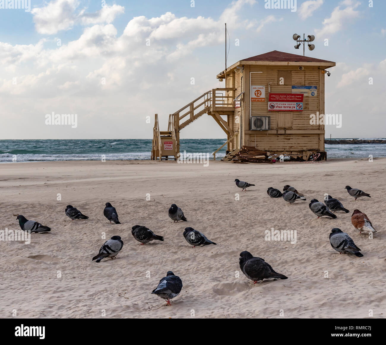 Pigeons et d'un sauveteur fermé shack sur une plage déserte à Tel Aviv, Israël Banque D'Images