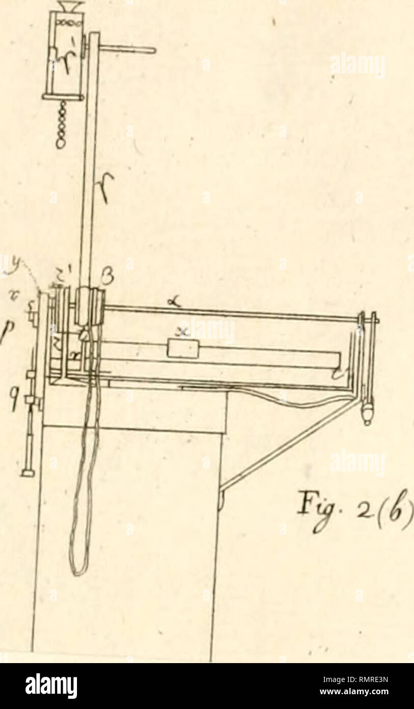 . Annali del Museo Imperiale di Fisica e Storia Naturale di Firenze. ToAJ I. Veuillez noter que ces images sont extraites de la page numérisée des images qui peuvent avoir été retouchées numériquement pour plus de lisibilité - coloration et l'aspect de ces illustrations ne peut pas parfaitement ressembler à l'œuvre originale.. Museo Imperiale di Fisica e Storia Naturale di Firenze. Banque D'Images