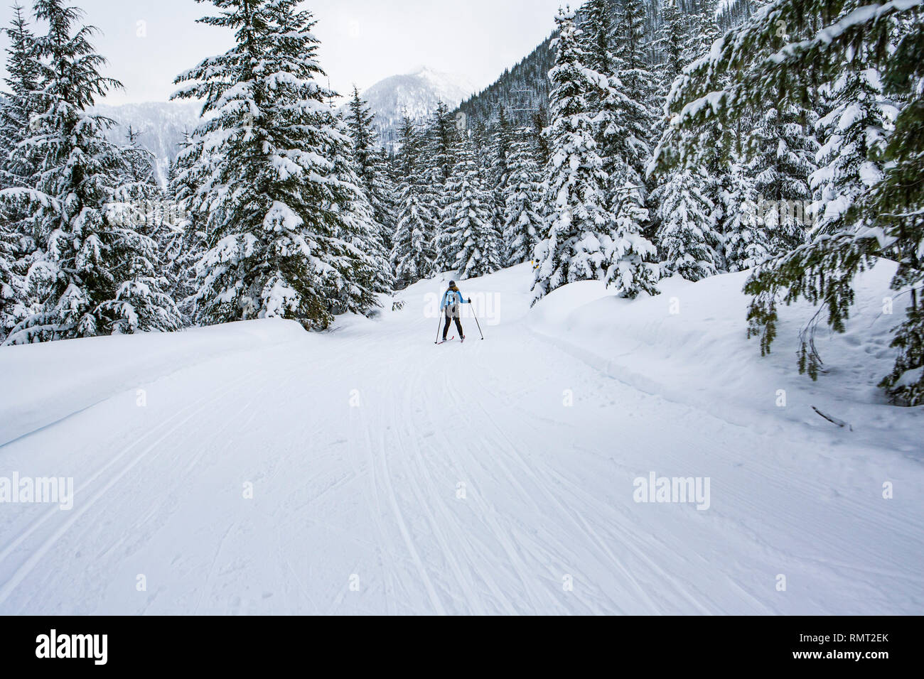 Steven's Pass, nordique et alpin, ski de fond, ski, week-end, l'anniversaire de Amy Banque D'Images
