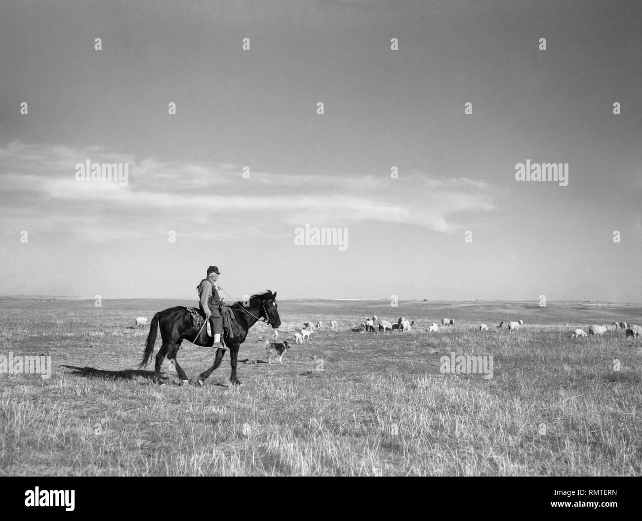 De grands éleveurs de troupeaux de moutons, de comté de Pennington, Dakota du Sud, USA, Arthur Rothstein, Farm Security Administration, mai 1936 Banque D'Images