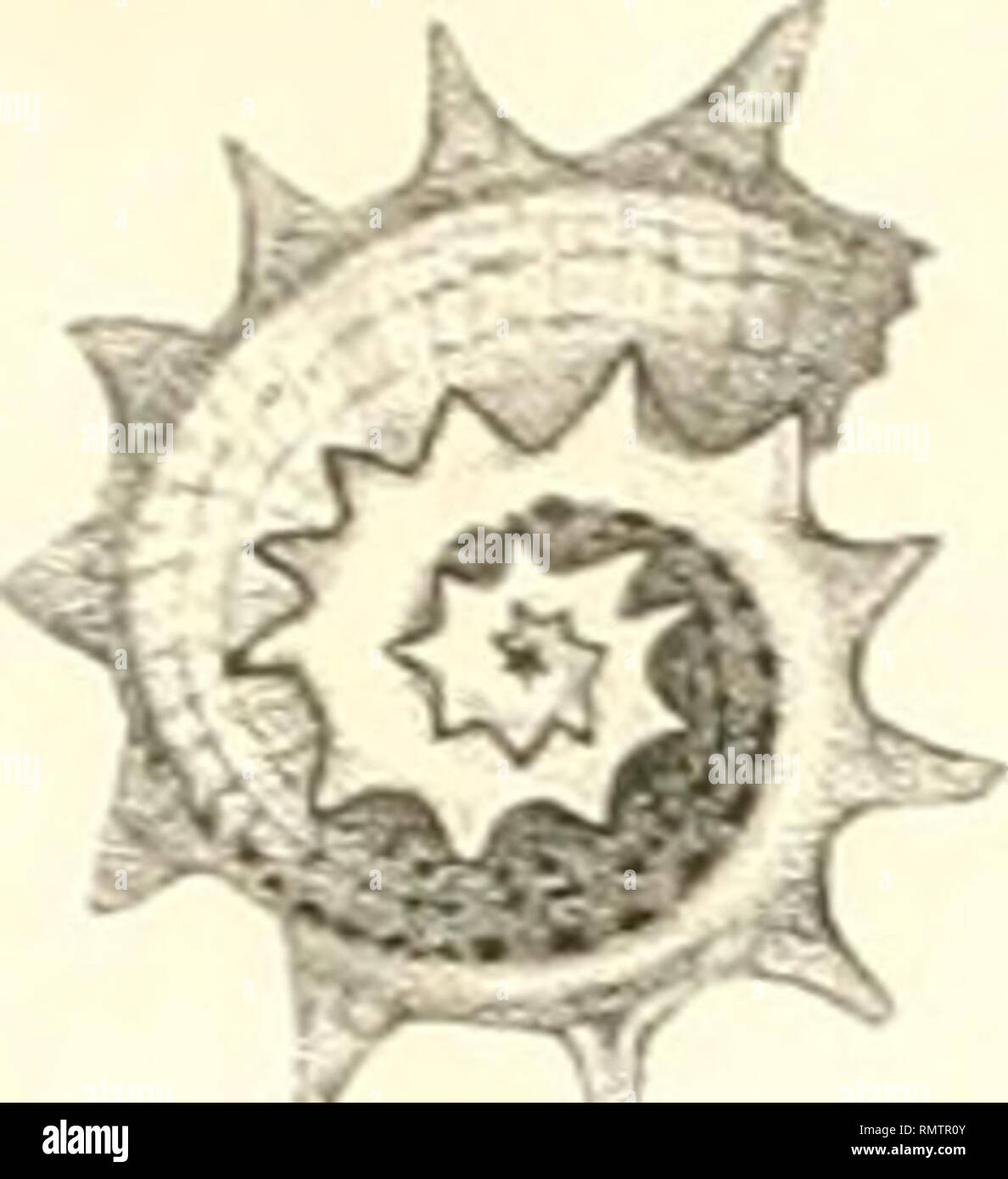 Pui O Banque D Image Et Photos Alamy