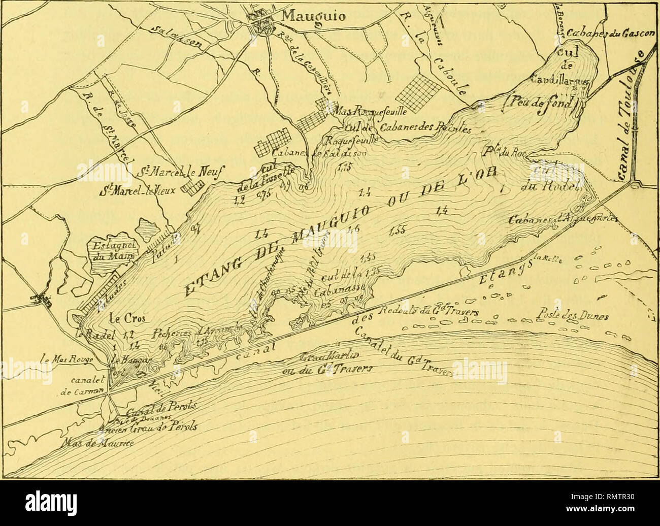 . Annales du Musée d'histoire naturelle de Marseille, publiée aux frais de la ville ... - 86 - r par le Vidourle. -Cette rivière envoie en effet, mais en temps de pluie ou de crues seulement, une partie de ses eaux chargées de limon dans le canal de la Radelle et par celui-ci dans le canal des étangs et dans Mauguio ; 2° Par la dérange, qui, grossie de la Benouide et de la Viredonne. se jette dans le cul de Candillargues ; 3° Par l'Aiguevive réunie à la Cadouie et se déversant dans le même golfe ; 4° Parla Capoulière qui descendent du village de Mauguio pour aboutir au cul de Koquefeuille ; 5&q Banque D'Images