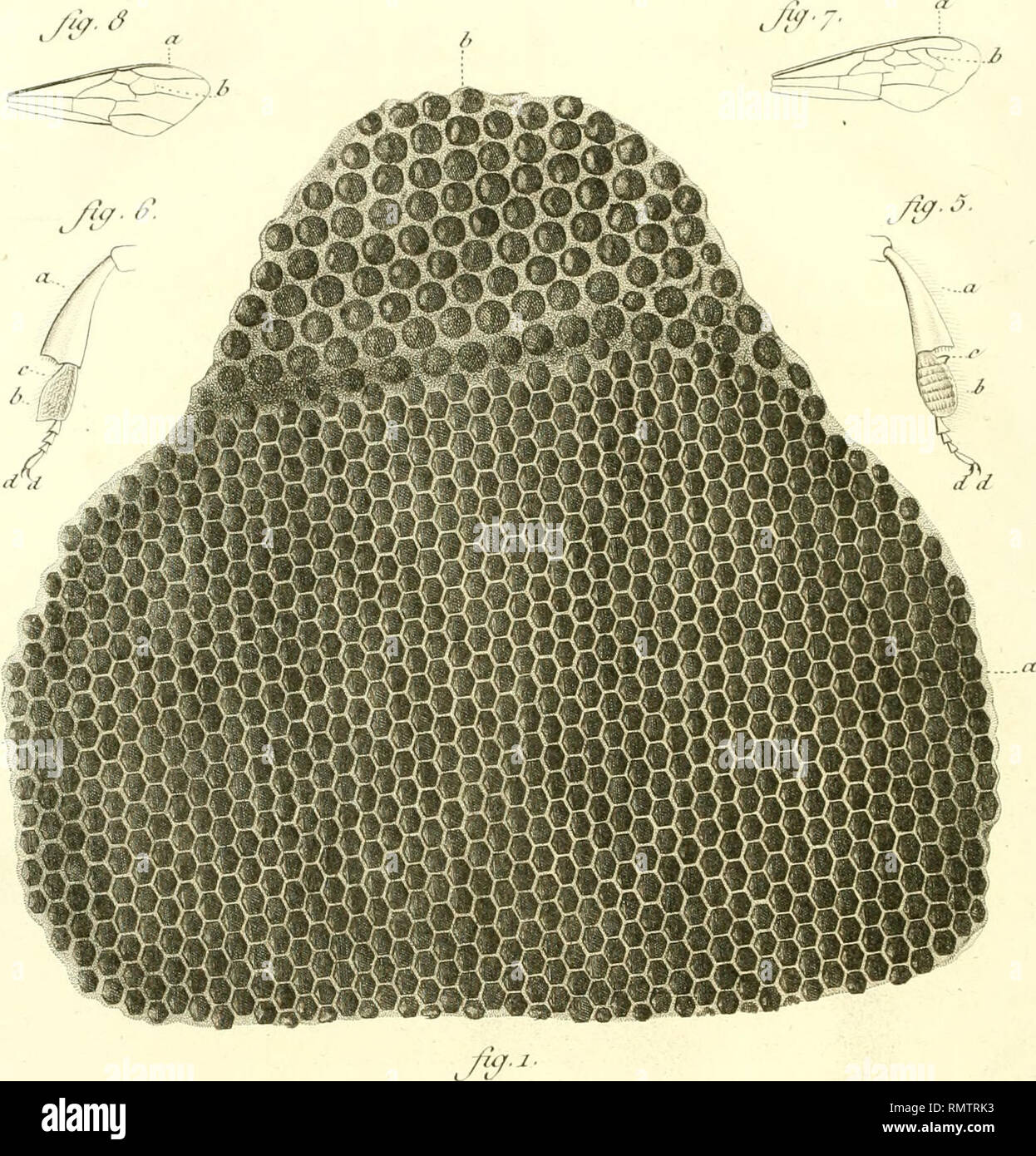 France Banque D Image Et Photos Alamy