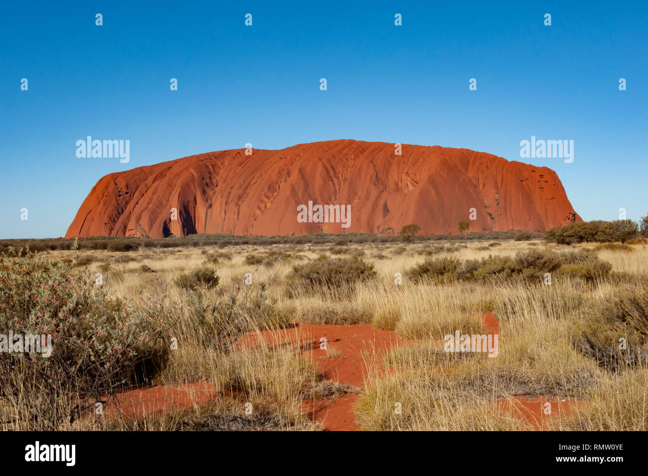 Uluru, dans le Territoire du Nord, Australie Banque D'Images