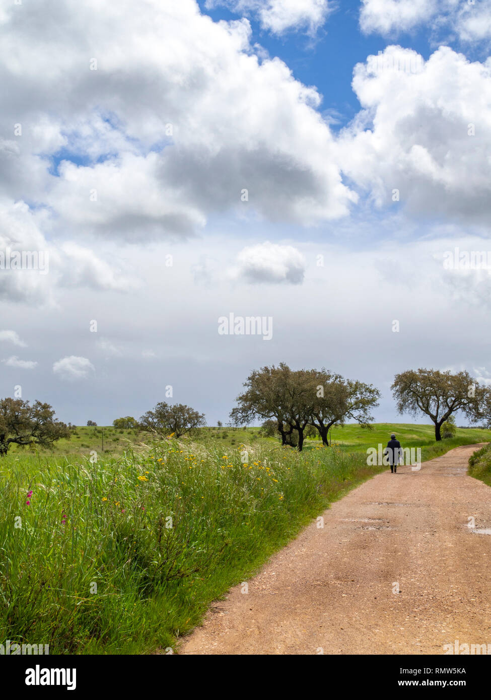 Une vue de la Rota Vicentina sentier entre Santiago do Cacem et Vale Seco en Alentejo, dans le sud du Portugal. Banque D'Images