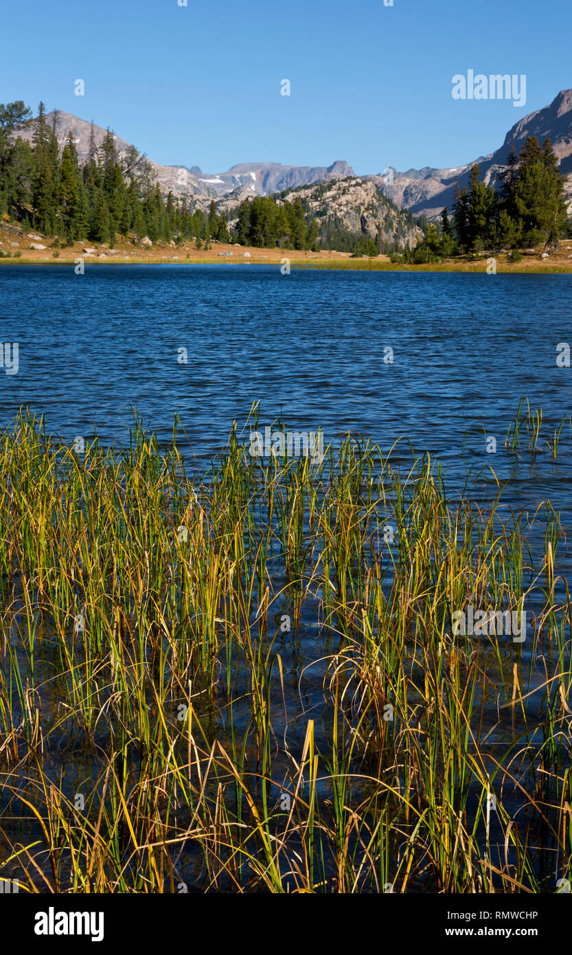 WY03757-00...WYOMING - Petit lac le long du sentier dans le Highlakes Beartooth Beartooth Mountains zone de la forêt nationale de Shoshone. Banque D'Images