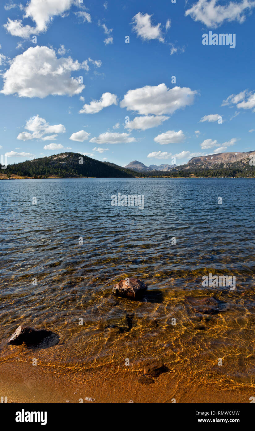 WY03776-00...WYOMING - Island Lake situé à proximité de la Beartooth Scenic Byway dans la forêt nationale de Shoshone. Banque D'Images