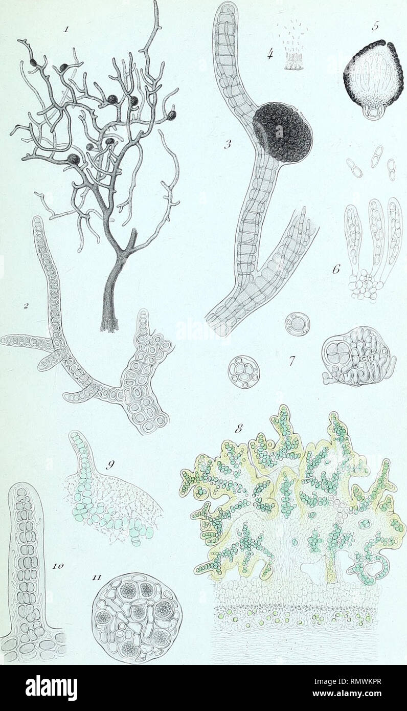 By B Picart Banque D Image Et Photos Alamy