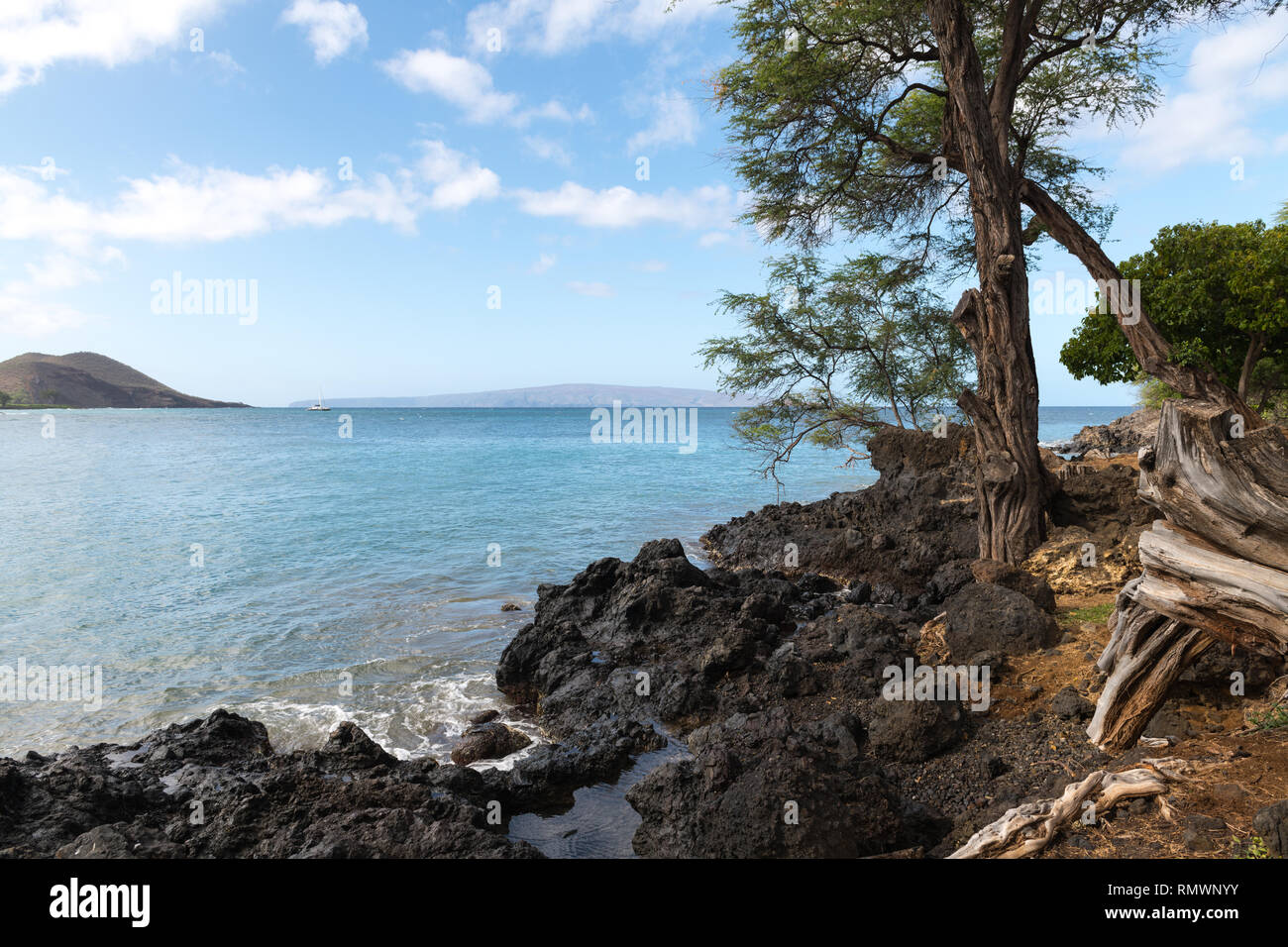 Beauiful Makena Landing Bay avec des arbres en arrière-plan. Pu'u Olai juste avec un pic dans la photo à l'extrême gauche Banque D'Images