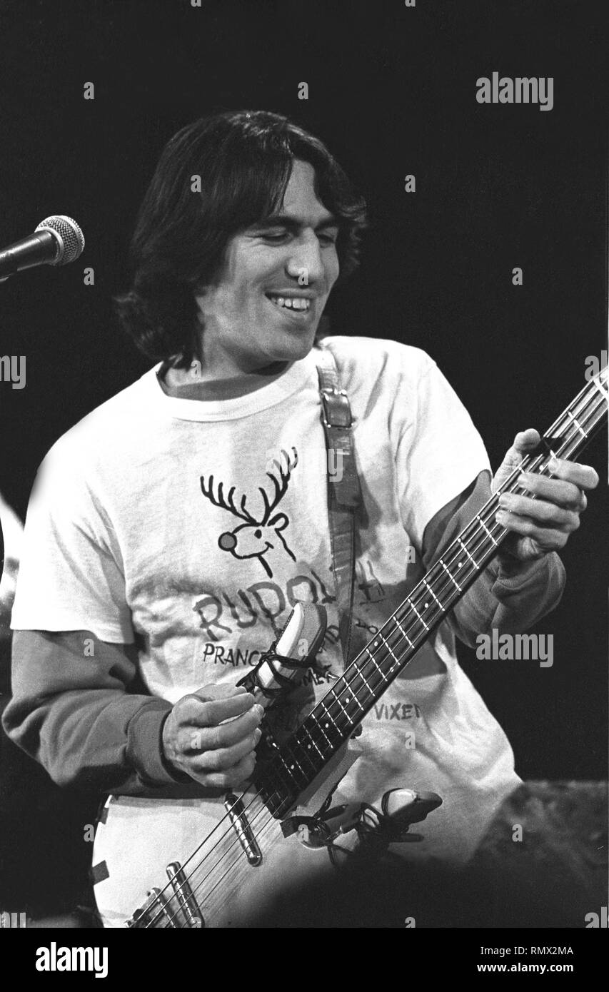 Le bassiste Joey Spampinato est montré sur scène pendant un concert 'live' apparence avec NRBQ. Banque D'Images