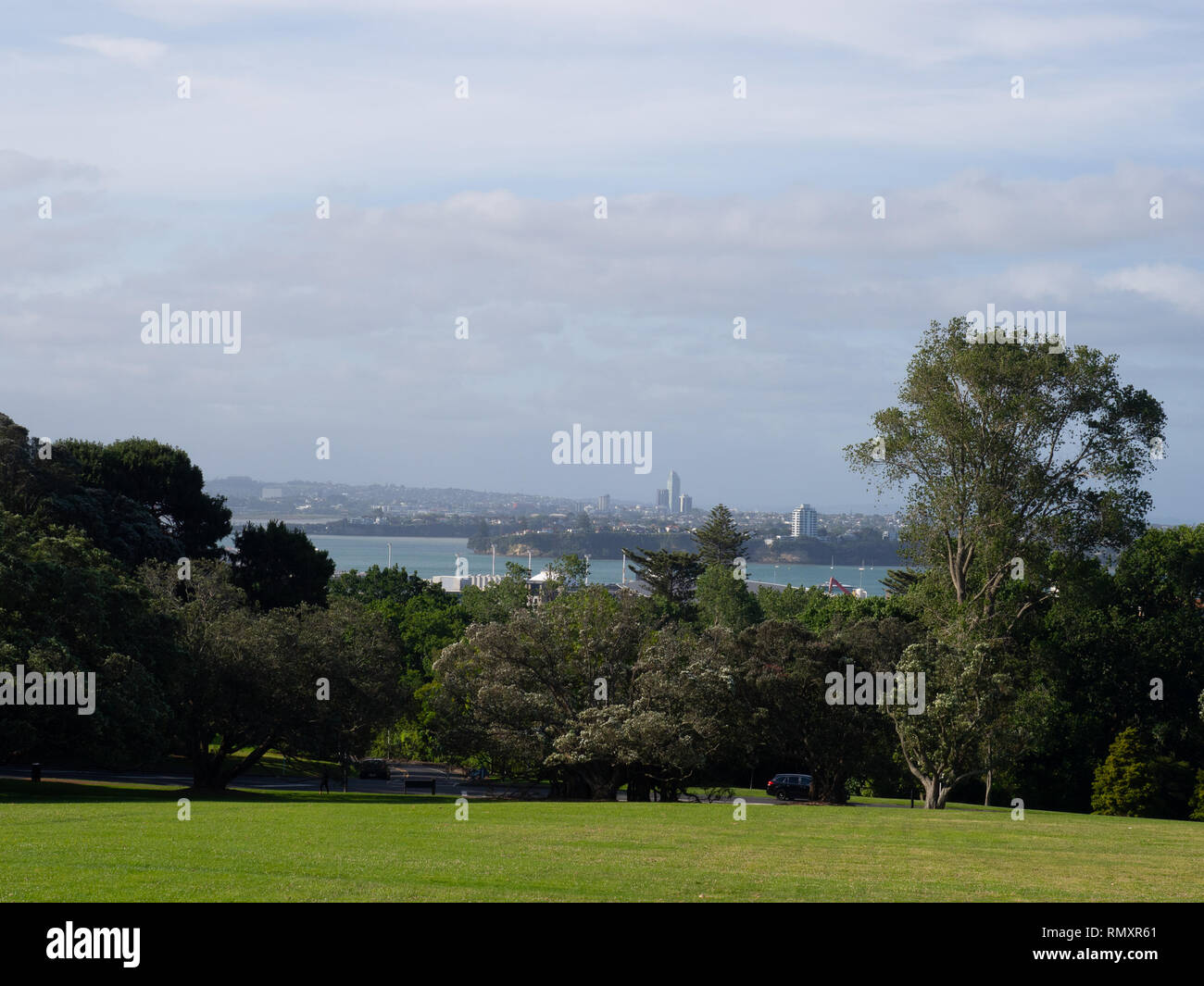 Vue sur Auckland à partir de l'Auckland Domain Banque D'Images