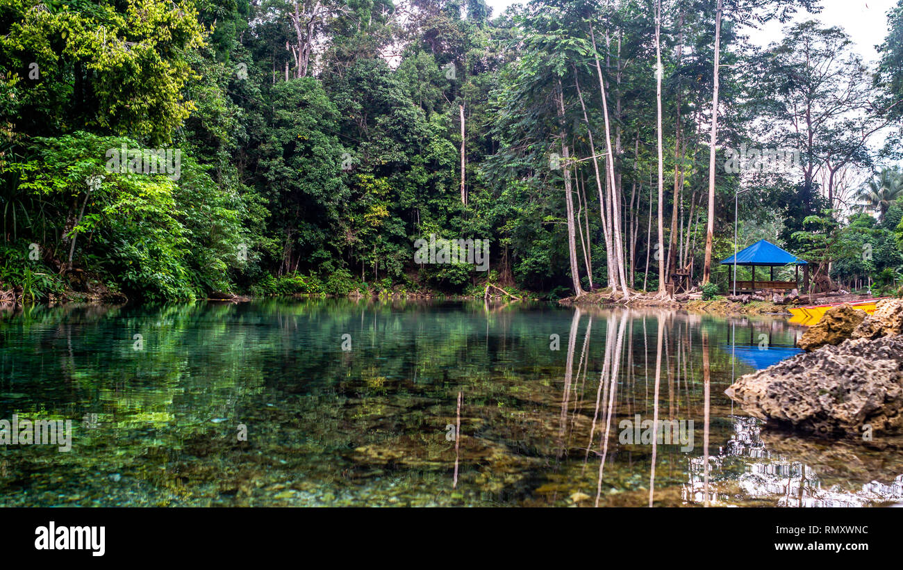 Belle vue sur l'eau limpide entouré d'une épaisse forêt verte dans Biru Telaga Berau, Indonésie, Banque D'Images