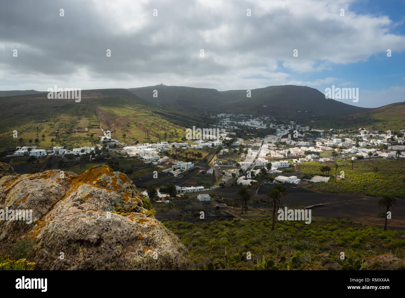 Avis de Haria, la vallée des mille palmiers à Lanzarote, Îles Canaries Banque D'Images