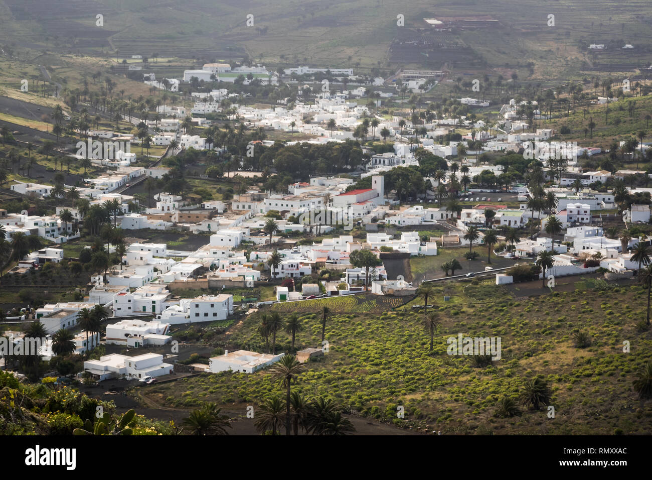 Avis de Haria, la vallée des mille palmiers à Lanzarote, Îles Canaries Banque D'Images