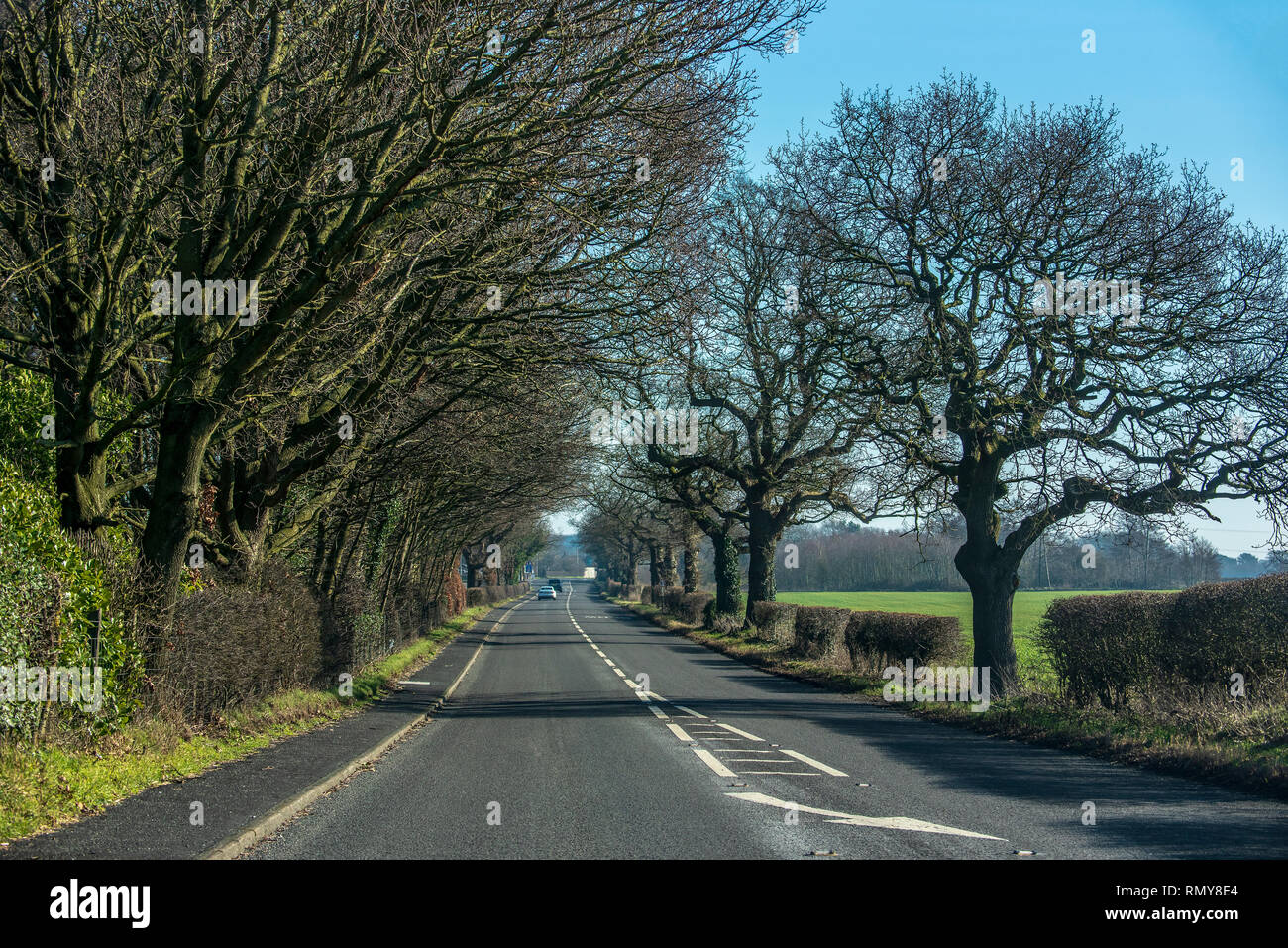 Pays section de l'A50 Trunk road à Warrington. Treelined Banque D'Images