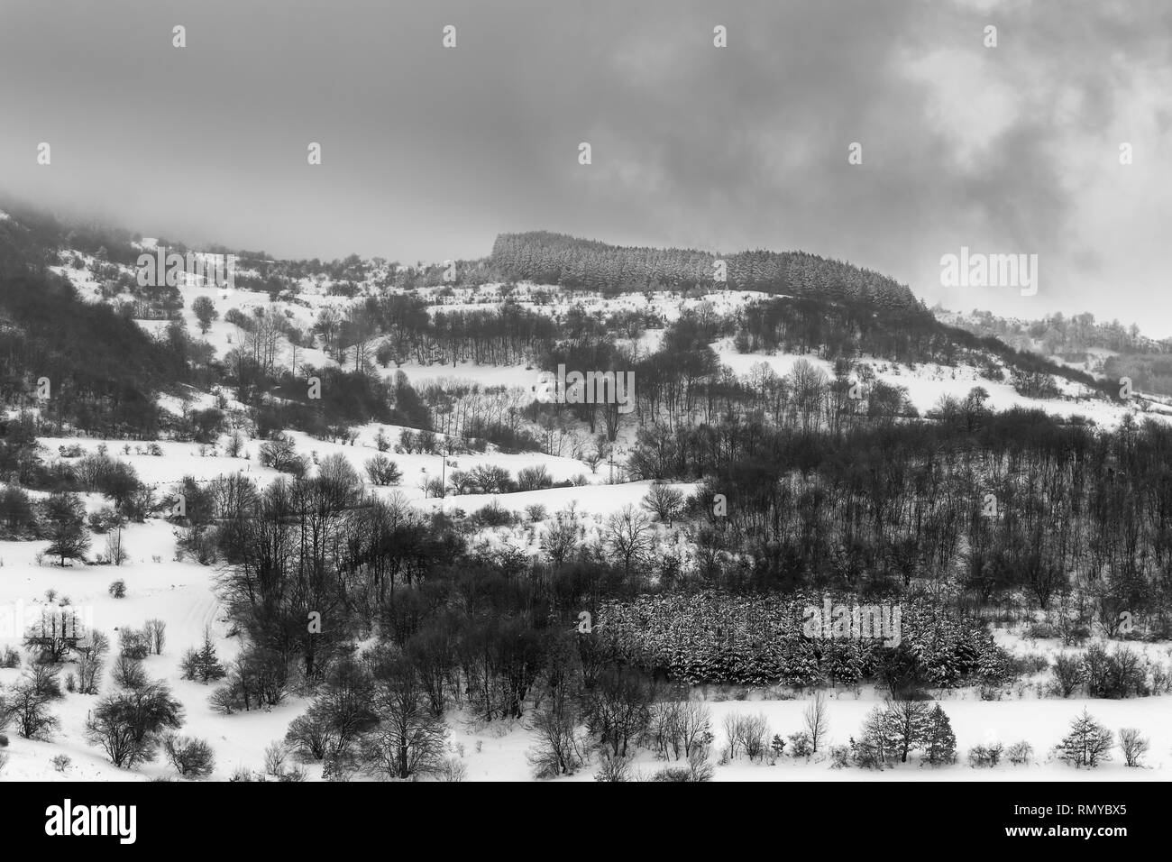 Misty, Moody, contrastée, noir et blanc vue d'une forêt de montagne pendant la saison d'hiver Banque D'Images