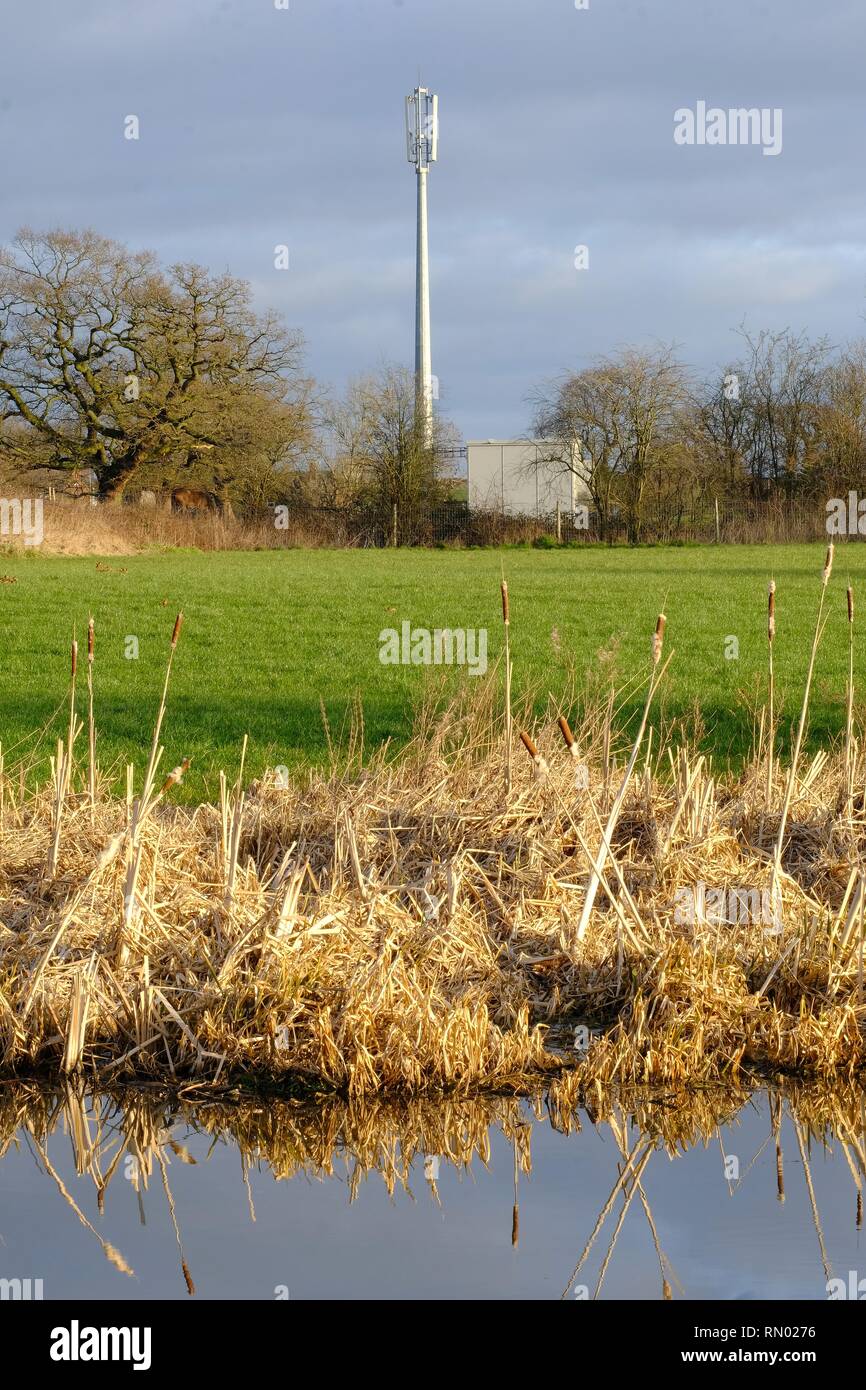 Mât de téléphone mobile, mât de téléphone cellulaire, cadre rural, Cheshire, Angleterre, Communications, antennes, antenne, technologie, mât, téléphone, réseau. Banque D'Images