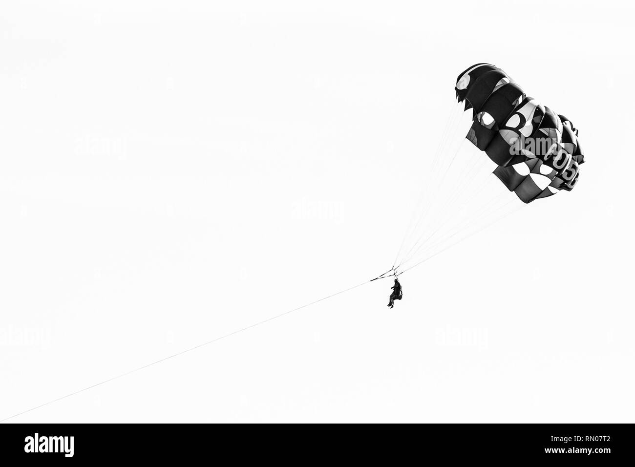 Photo noir et blanc d'un parapente dans l'air en parachute Maro, Andalousie, Espagne Banque D'Images