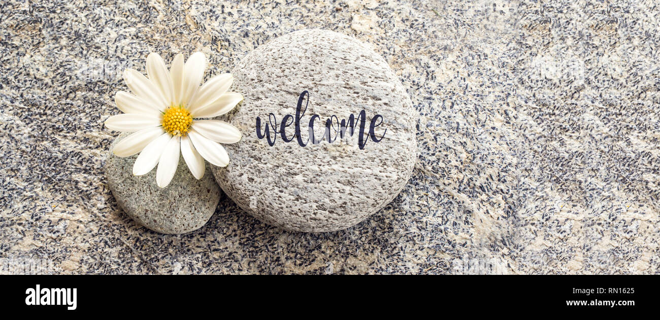 Bienvenue mot écrit sur un fond en pierre avec une marguerite Banque D'Images