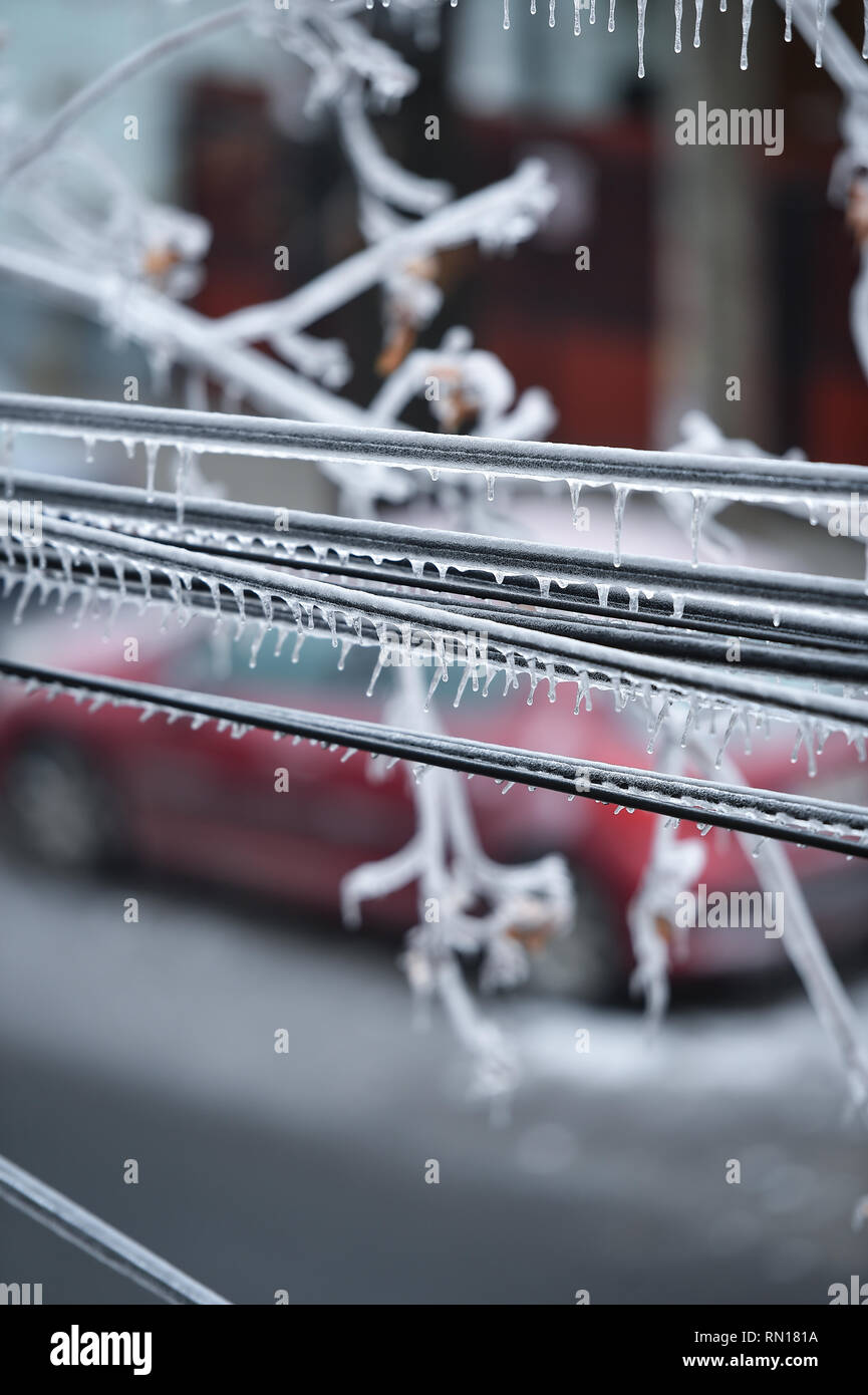 Les câbles d'électricité couverte de glace après des pluies glacées phénomène Banque D'Images