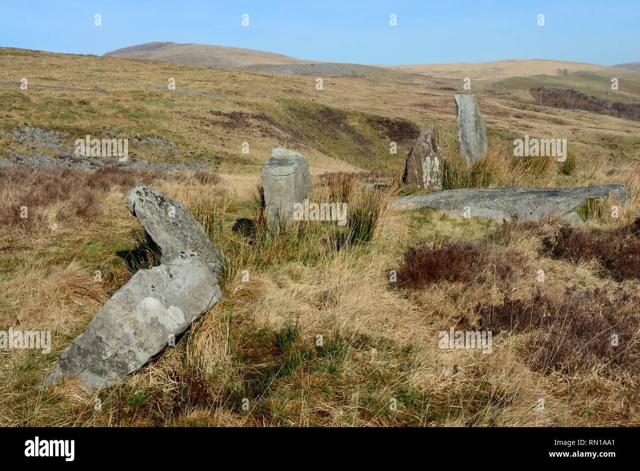 Lui dit Pierre Maen Alignement Ligne Cribarth Mountain Craig Y No Country Park Le Parc National des Brecon Beacons au Pays de Galles Cymru UK Banque D'Images