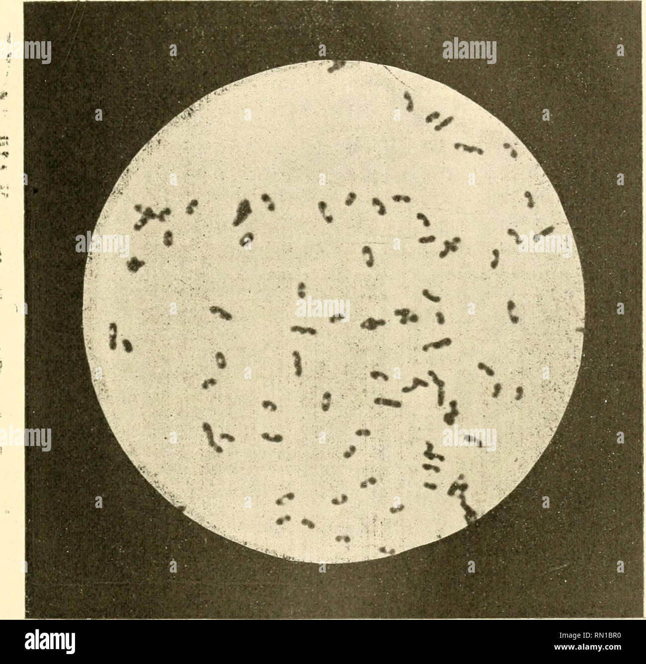 institut rencontre forme