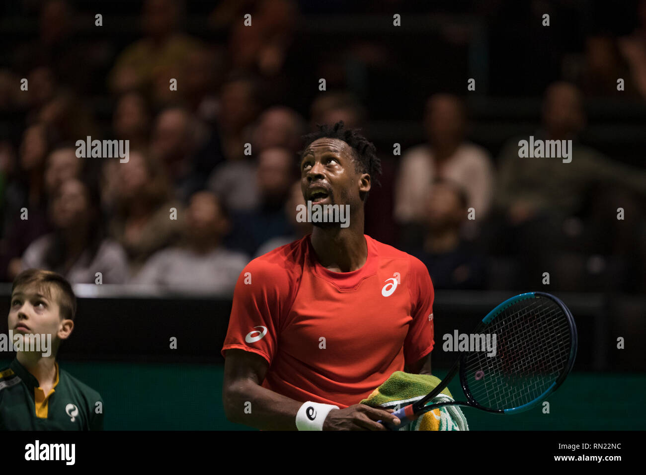 Rotterdam, Pays-Bas, 16 février 2019, Tournoi de tennis du monde ABNAMRO, Ahoy, semis, GAEL MONFILS (FRA), Photo : www.tennisimages.com/Henk Koster Banque D'Images