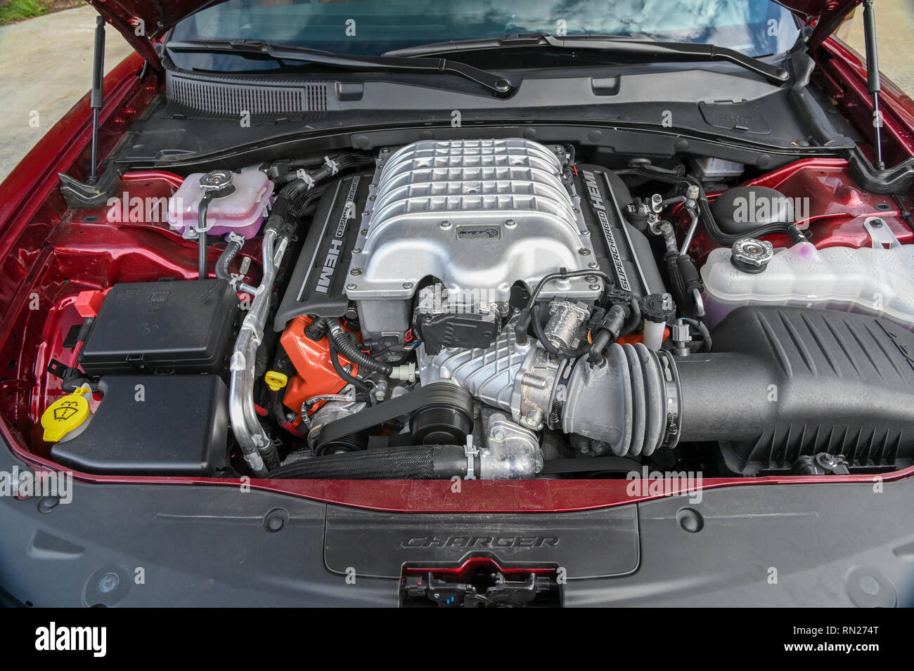 Feb 11, 2019 : 2018 Dodge Charger SRT HEMI de 6,2 l moteur suralimenté Hellcat Albert Pena/CSM Banque D'Images
