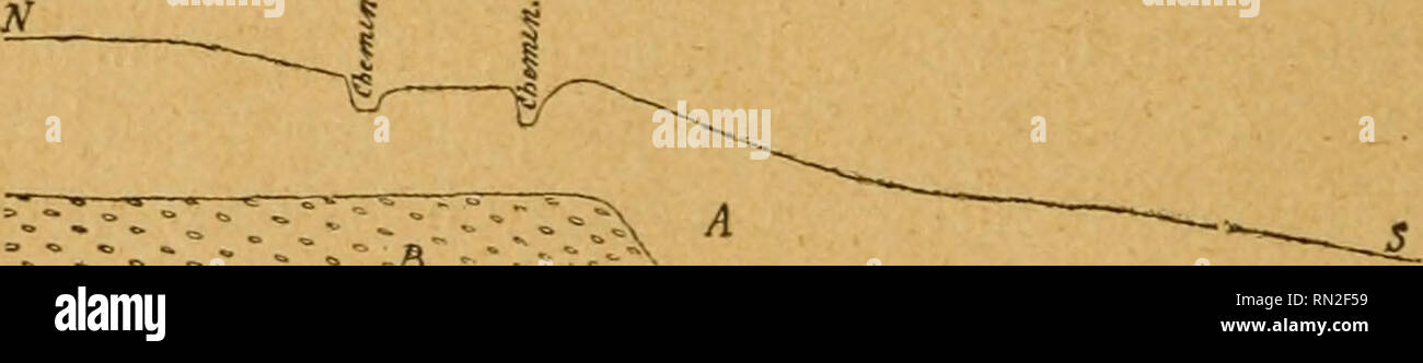 . Annales de la Société royale malacologique de Belgique. Les mollusques ; Zoologie. 42 LA SOCIÉTÉ ROYALE MALACOLOGIQUE DE BELGIQUE outre, le bord oriental de la nappe aquifère, hesbayenne comprennent entre Milmort et le Thier-à-Liége, où elle affleure sur le coteau, laisse écouler luron cette même couche de cailloux roulés une partie de ses eaux. Il en résulte que les cailloux ardennais de la terrasse de Pontisse onu constituant le réservoir d'une disposition exceptionnellement favo- érable, au point de vue de la quantité d'eau qu'il est capable de fournir, mais que cette quantité d'eau échappe aux moyens d'en Banque D'Images