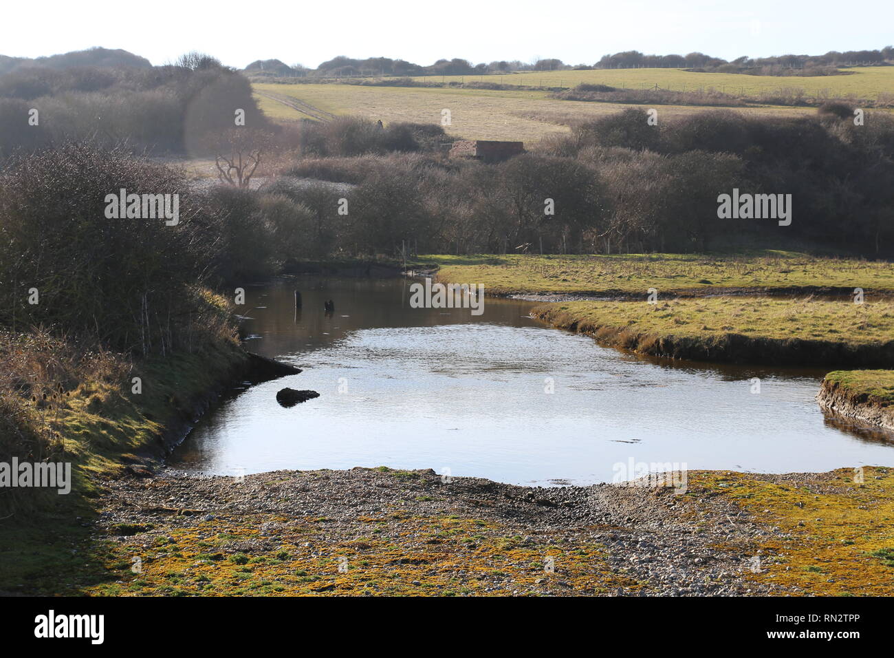 Dans la rivière Cuckmere valley au soleil Banque D'Images