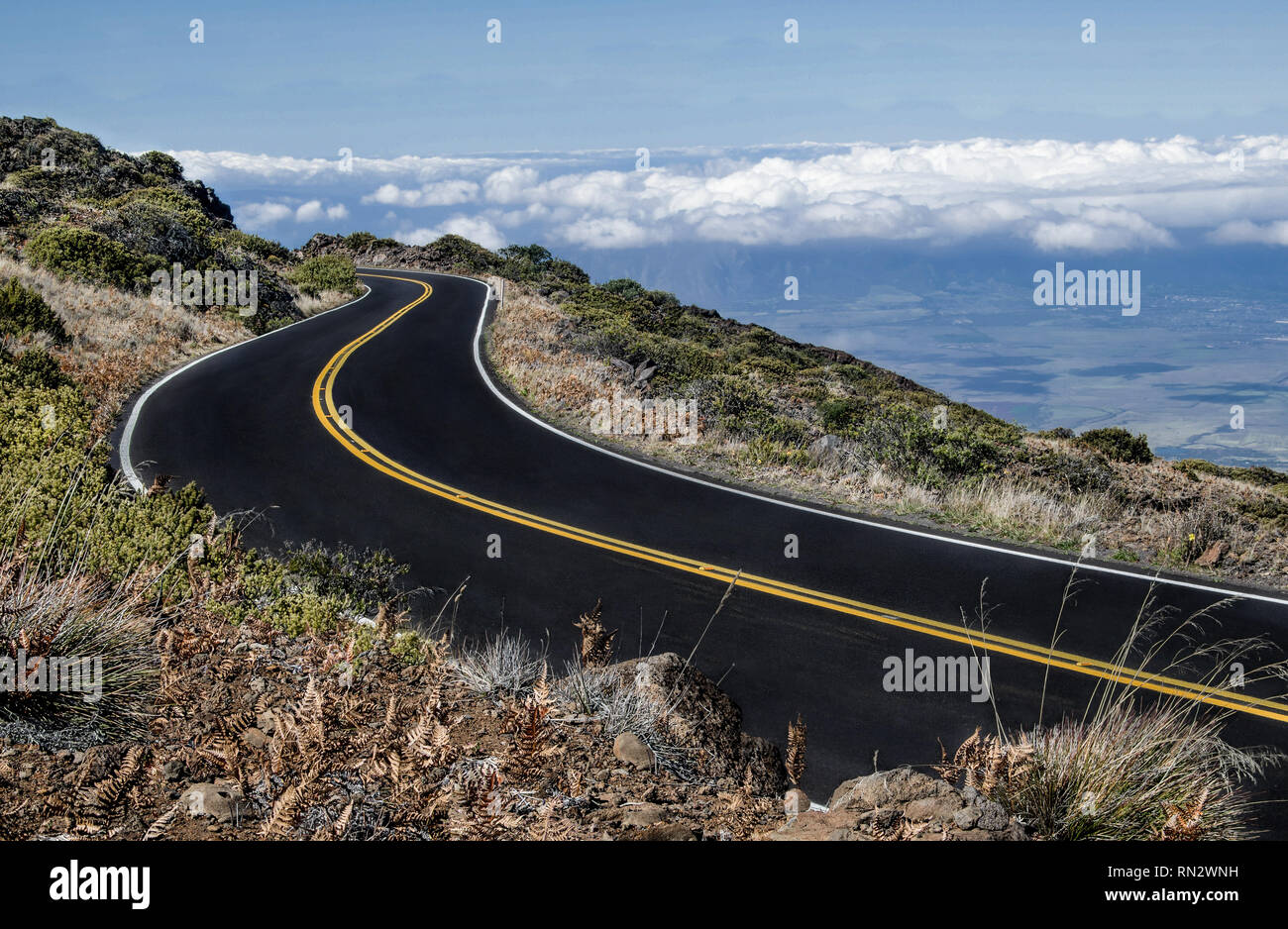 Maui route de montagne : la route du sommet de Mt. Haleakalā commence au-dessus des nuages et descend jusqu'à une vallée tropicale ci-dessous. Banque D'Images