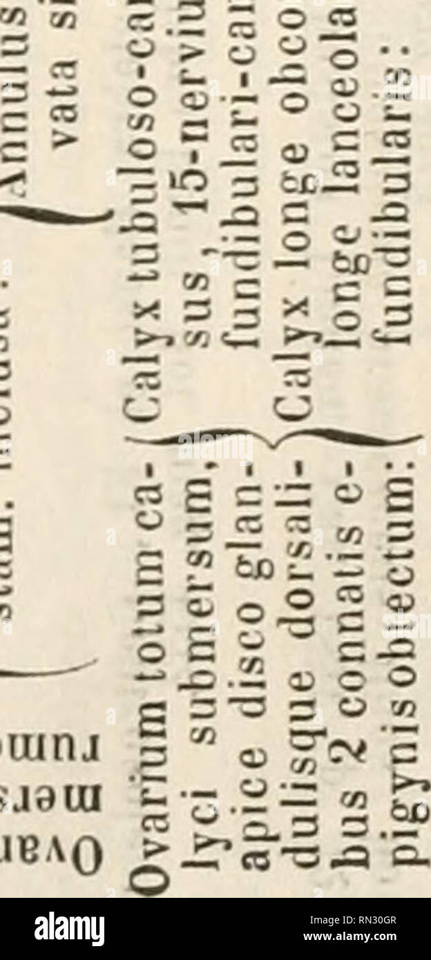 Annales Botanices Systematicae La Classification Gesneraceae 409 Cor Acw3 Ti 5 O R 3 Vj Z Jt S O O 00 O O T Annales Botanices Systematicae La Classification Gesneraceae 409 Cor Acw3 Ti 5 O R 3 Vj Z Jt S O O 00 O O T