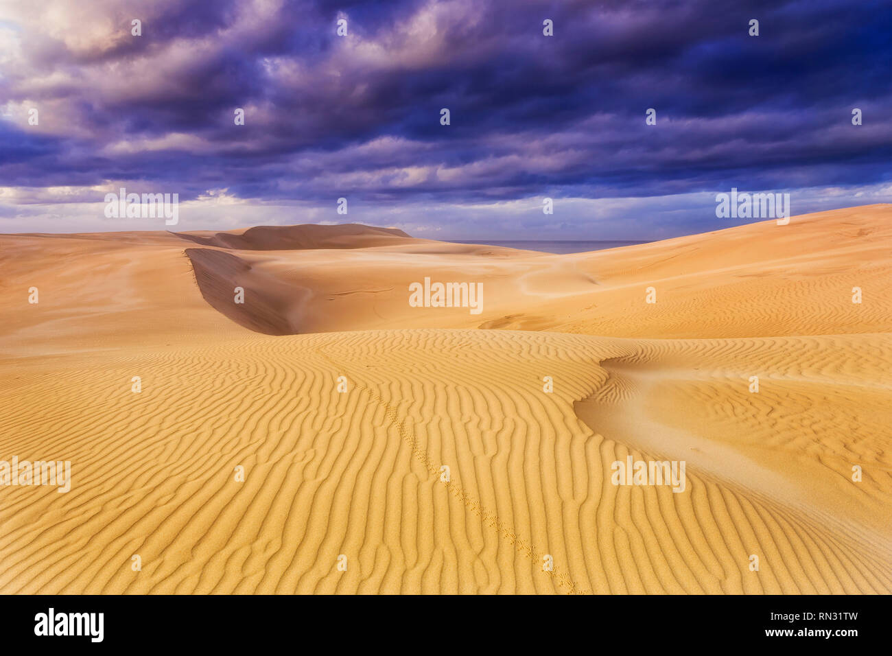Climat aride autour de dunes de sable sec en Australie au cours de matin nuageux quand le vent de sable érodé conserve la structure de surface et de l'ornement. Banque D'Images
