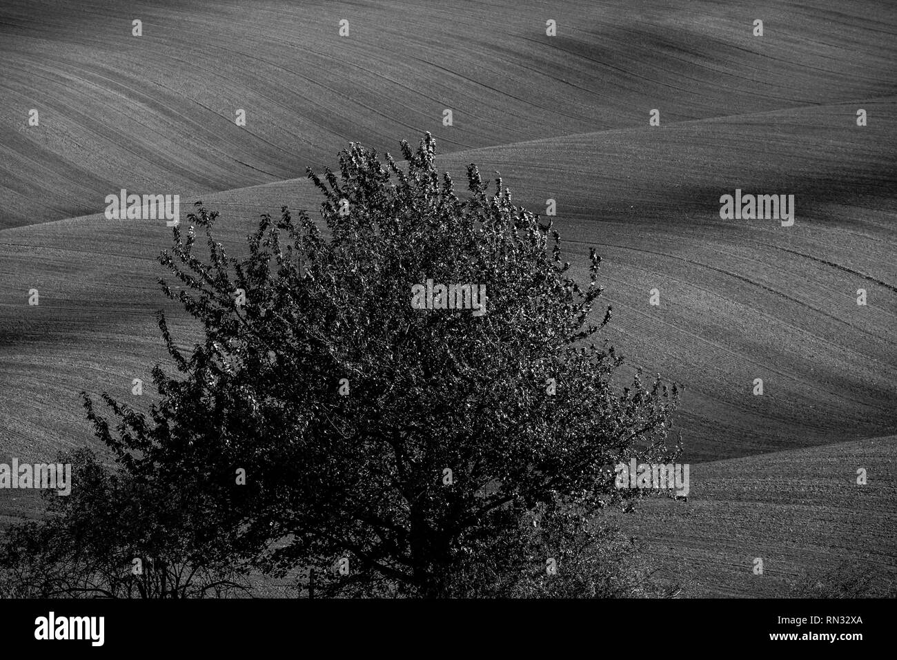Paysage Toscane morave. Les prés et les champs récoltés dans le sud de la Morava, en République tchèque. Pays ondulé à décor de soleil d'automne Banque D'Images