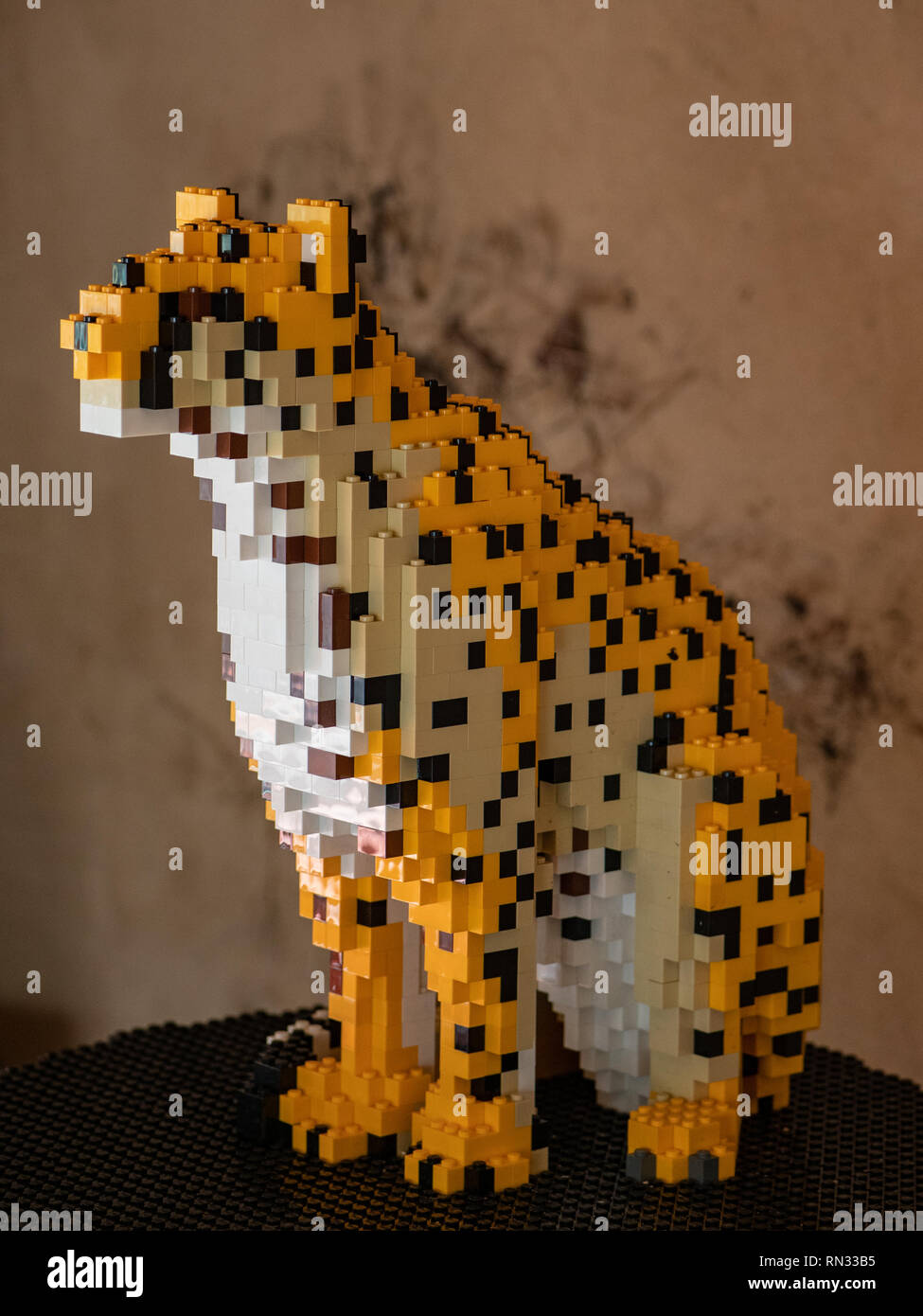 Modèle Cheetah, une partie de la brique Lego au sentier le Zoo de Chester Banque D'Images