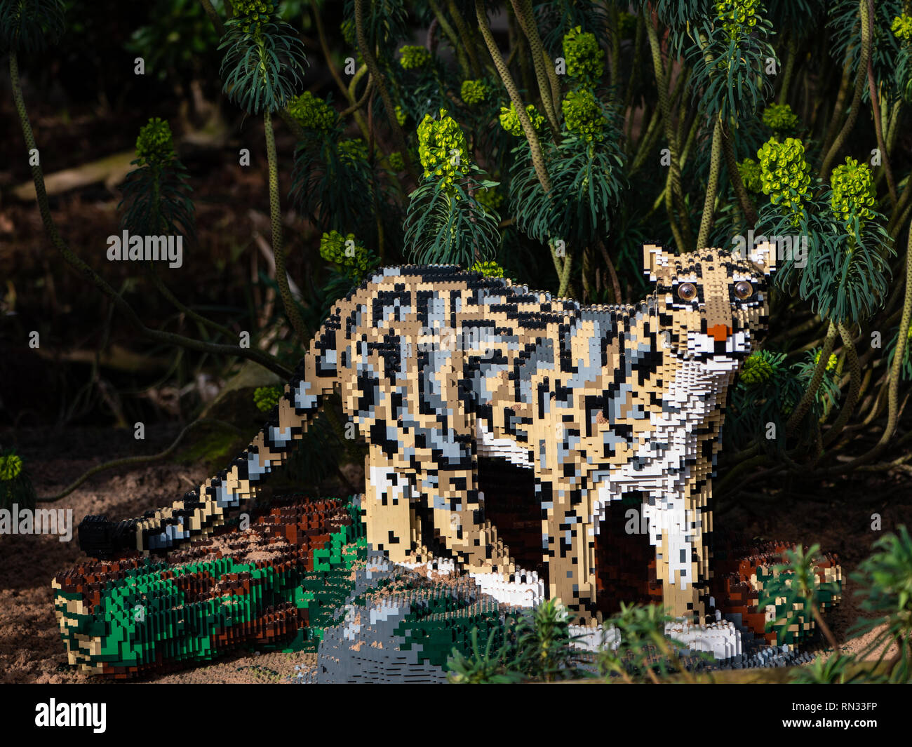 La panthère nébuleuse modèle, l'un des grands félins Lego lifesize au Zoo de Chester Banque D'Images