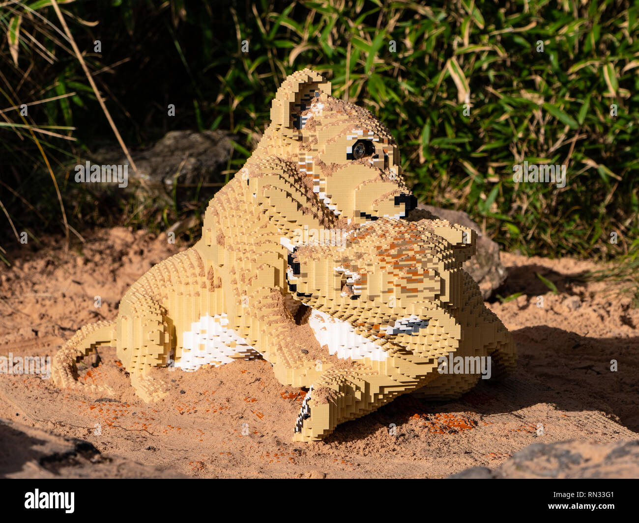 Modèle de lionceaux jouer dans le sable, certains des grands félins Lego lifesize au Zoo de Chester Banque D'Images