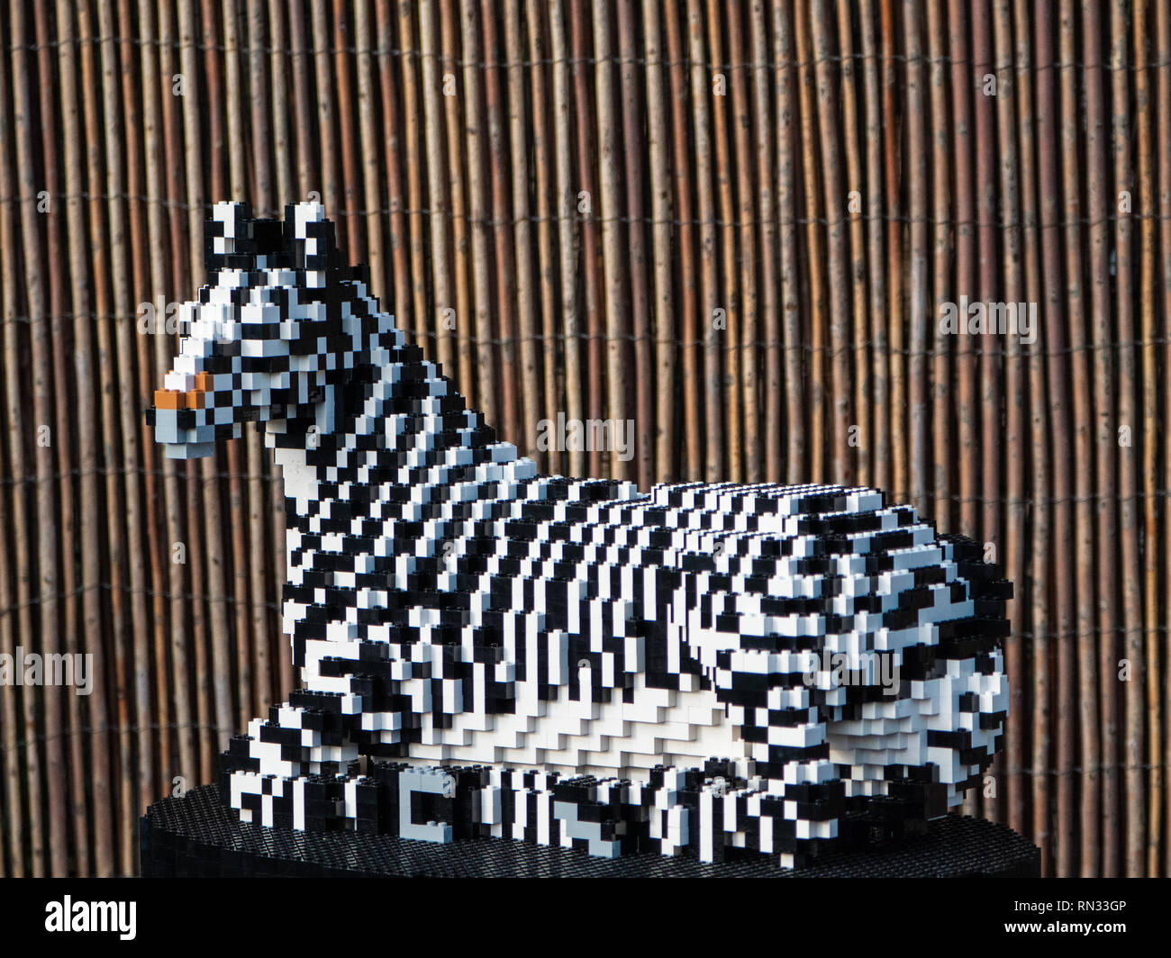 Le zèbre de Grevy modèle, une partie de la brique Lego au sentier le Zoo de Chester Banque D'Images