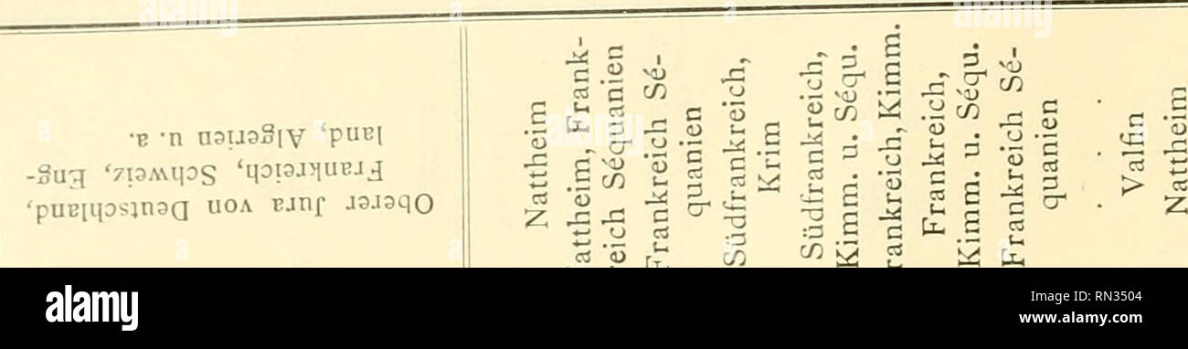 Annalen Des Naturhistorischen Musees De Vienne Naturhistorisches Museum Autriche L Histoire Naturelle 8 Dr Friedrich Blaschke Nausslv B N Pubi Sng 7paips Qopj Iubjd Gt Pubhiosinsa Bjtif Jsjsqo Nsinzis Uoa Uoa Uoiuij Jc