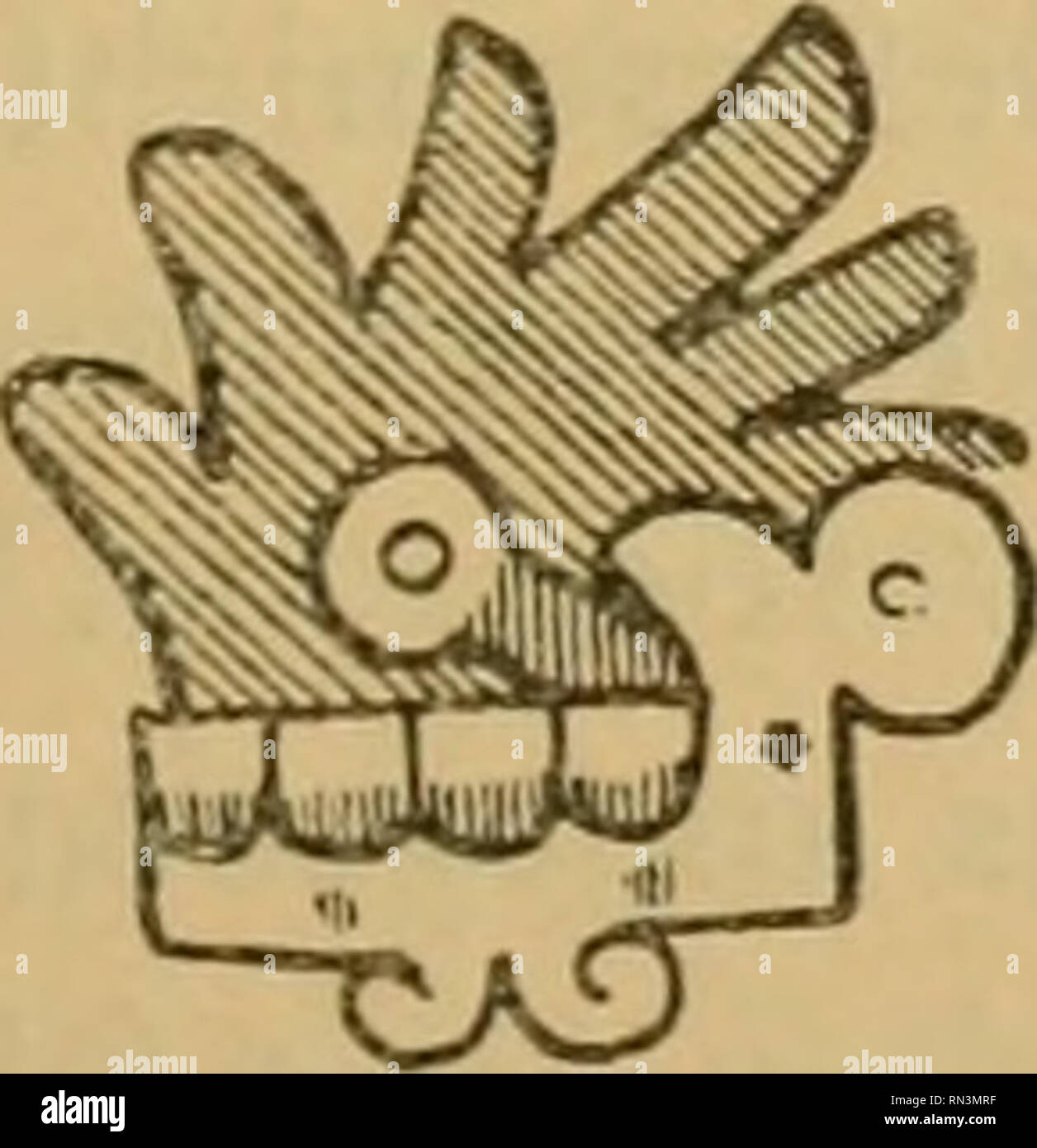 . Annalen des Naturhistorischen musées de Vienne. Naturhistorisches Museum (Autriche) ; l'histoire naturelle. Abb. 16, malinalli. (Codex Vaticanus B [Nr. SyyS] i. 8. 56. 66. 68.) dans la région de den Mayaformen dieses Zeichens endlich, wenigstens den besser und verständlicher gezeichneten, Wie man Sie auf den grossen Steindenkmälern sieht (ABB. 18, IG), ist der Todtenschädel vollkommen die Hauptsache geworden und der grüne Busch nur noch durch eine homme besenartige Mischtechnik, die an der Schläfe des Schädels sieht, angedeutet.. Veuillez noter que ces images sont extraites de la page numérisée des images qui peuvent avoir été di Banque D'Images